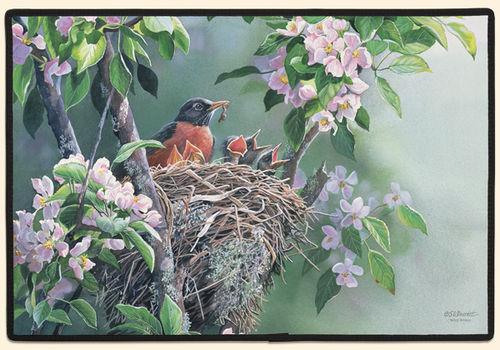 Rise and Shine Robins Polyester Doormat