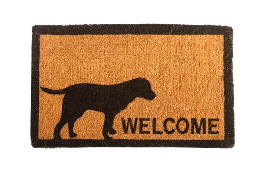 Labrador Welcome Vinyl Coir Doormat