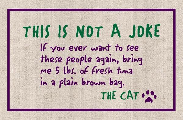 Not a Joke - The Cat Olefin Doormat