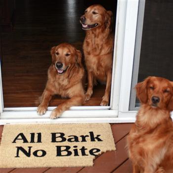 Coir-Mats-All-Bark-No-Bite
